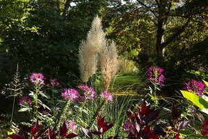Botanischer Garten Freiburg13.jpg