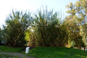 Botanischer Garten Freiburg15.jpg