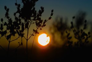 IMG00261.jpg IMG00261.jpg