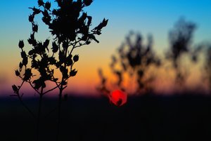 IMG00292.jpg IMG00292.jpg