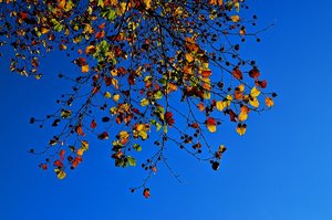 DSC_0541_ji_c.jpg DSC_0541_ji_c.jpg