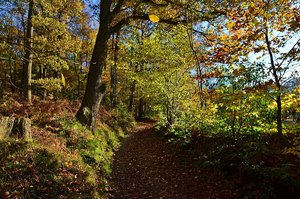 DSC_0547_ji_c.jpg DSC_0547_ji_c.jpg