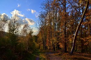 DSC_0557_ji_c.jpg DSC_0557_ji_c.jpg