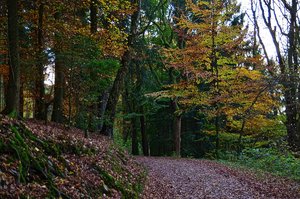 DSC_0564_ji_c.jpg DSC_0564_ji_c.jpg