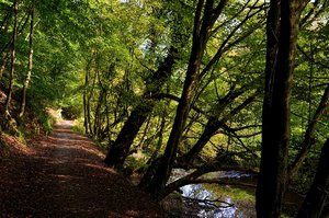 DSC_0140_ji_c.jpg DSC_0140_ji_c.jpg