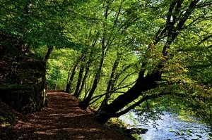 DSC_0158_ji_c.jpg DSC_0158_ji_c.jpg