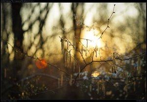 DSC05749.jpg DSC05749.jpg