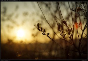 DSC05755.jpg DSC05755.jpg