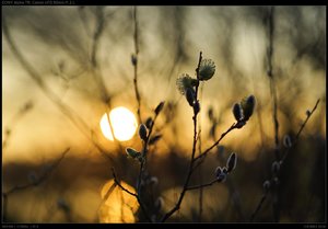 DSC05759.jpg DSC05759.jpg