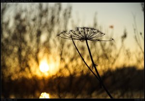 DSC05760.jpg DSC05760.jpg