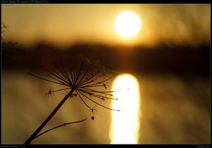 DSC05762.jpg DSC05762.jpg