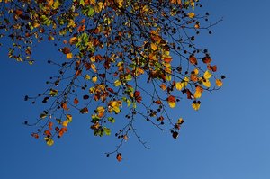 DSC_0541.JPG DSC_0541.JPG