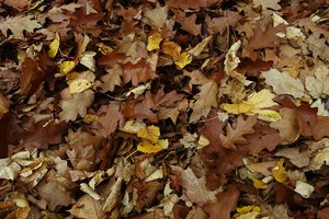 000427-HERBST.jpg
