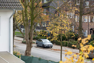 150mm - Originalgrösse.jpg 150mm - Originalgrösse.jpg