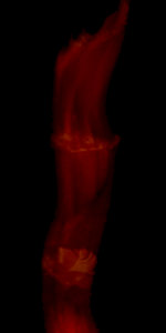 erste Versuche 2.jpg