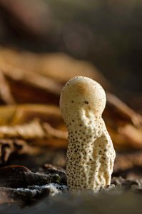 DSC_5810, RAW, 2_bearbeitet-2.jpg