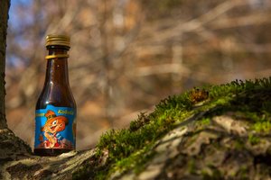 comp_1-Sababurg Urwald 221a.jpg