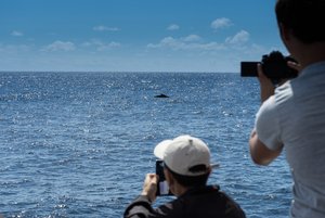 1500_500 kbDSC04268.jpg