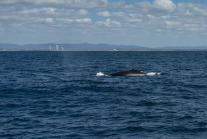 1500_500 kbDSC04321.jpg