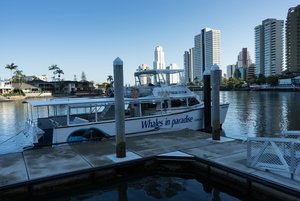 1500_500 kbDSC04142.jpg