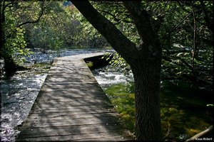 Nationalpark Krka 47.jpg