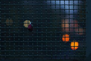 Forum DSC06206 Nex 5r + Soligor 2,0 135mm_1 (c) PPf.jpg