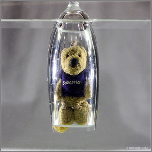 Taucher_9427.jpg Taucher_9427.jpg