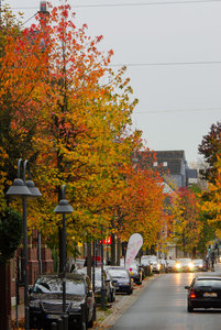 Herbsttag in Bedburg 1.jpg Herbsttag in Bedburg 1.jpg
