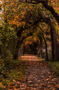 Herbsttag in Bedburg 2.jpg Herbsttag in Bedburg 2.jpg