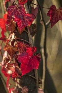 comp__DSC0316.jpg comp__DSC0316.jpg