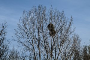 comp__DSC0330.jpg comp__DSC0330.jpg