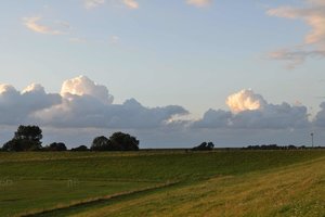 comp_Budjahrdingen Aug. 2013 (71).jpg