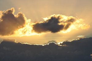 comp_Budjahrdingen Aug. 2013 (73).jpg