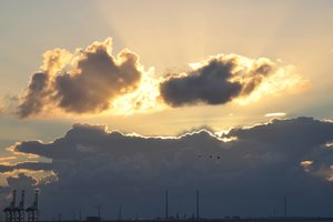 comp_Budjahrdingen Aug. 2013 (74).jpg