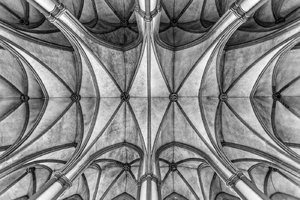 comp__DSC0406sw.jpg comp__DSC0406sw.jpg