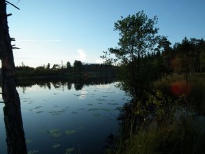 DSCF0558 (Andere).JPG