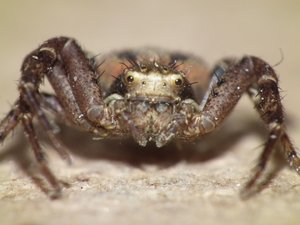 DSCF0609 (Andere).JPG