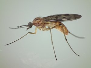 DSCF0616 (Andere).JPG