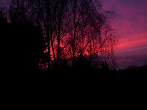 DSCF5545 (Andere).JPG