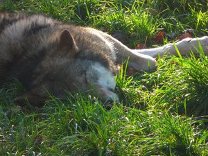 DSCF5569 (Andere).JPG