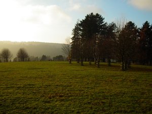 DSCF5643 (Andere).JPG