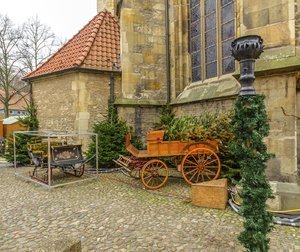 comp__DSC1428.jpg comp__DSC1428.jpg