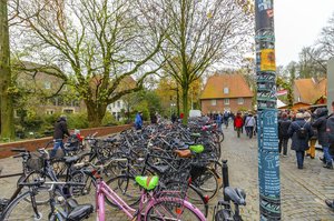 comp__DSC1431.jpg comp__DSC1431.jpg