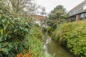 comp__DSC1434.jpg comp__DSC1434.jpg