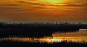 Abendstimmung Teufelsmoor.JPG Abendstimmung Teufelsmoor.JPG