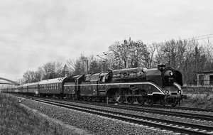 000044-PARTIE  ANGEHALTEN.jpg