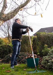wann fallen denn die letzten -1.jpg wann fallen denn die letzten -1.jpg