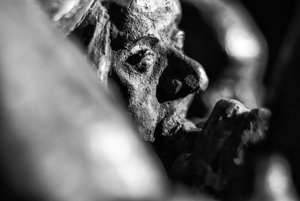 000061_52 8154-8.jpg