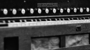 000075_52 8154-8.jpg