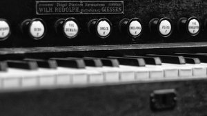 000077_52 8154-8.jpg